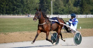 Course de trot attelé à l’hippodrome